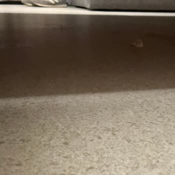 Yanıltıcı Bilgi Ve Yetersiz Hizmet Nedeniyle Mağduriyet Yaşadım