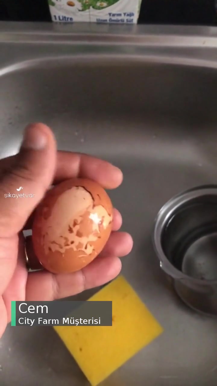 City Farm Boyanmış Organik Yumurta videonun kapak resmi