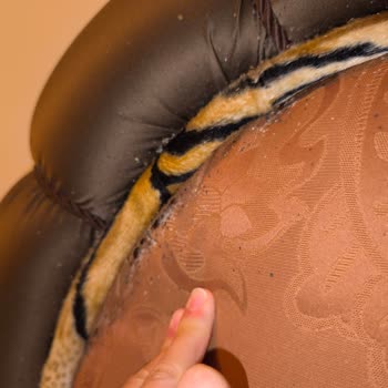 Balkanlar Turunda Eksik Hizmet Ve Yetersiz Müşteri Desteği