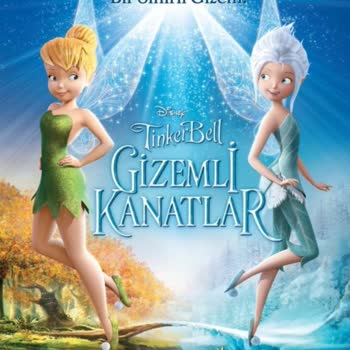 Açık Hava Sinemasında Animasyon Film Çeşitliliği Yetersizliği