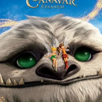 Açık Hava Sinemasında Animasyon Film Çeşitliliği Yetersizliği