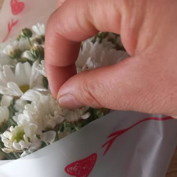 ÇiçekSepeti Siparişim Hem Geç Hem De Solmuş Çiçeklerle Teslim Edildi