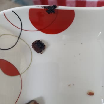 Şok Marketler Seyidoğlu Cevizli Helva Sorunu