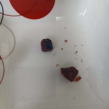 Şok Marketler Seyidoğlu Cevizli Helva Sorunu