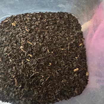 Karali Çay Paketinde Saman Benzeri Maddeler Ve Kalite Endişesi Yaşadım