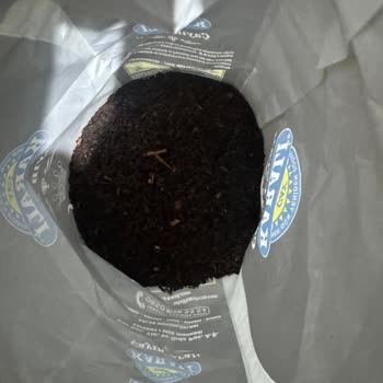 Karali Çay Paketinde Saman Benzeri Maddeler Ve Kalite Endişesi Yaşadım