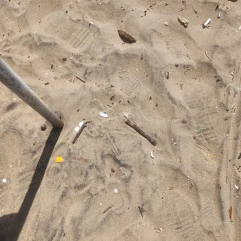 Bartın Belediyesi İnkumlu Plajı'nda Temizlik Yok