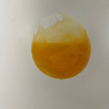 Son Kullanma Tarihi Geçmemiş Yumurtalar Bozuk Çıktı!