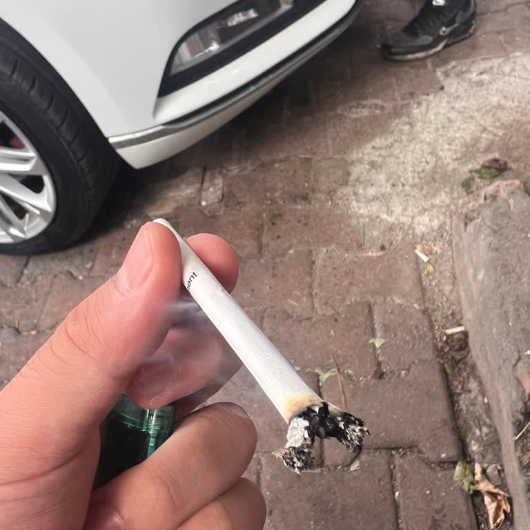 Parliament Midnight Blue Sigaralarda Sürekli Devam Eden Ciddi Kalite Problemleri