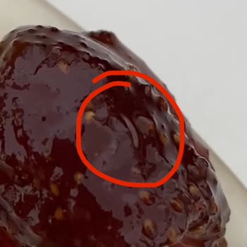 Migros Marka Reçelden Kurt Çıkması Ve Güven Kaybı