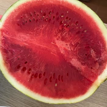 A101'den Aldığım Çürük Karpuzun İadesi Kabul Edilmedi, Mağduriyetim Giderilmiyor