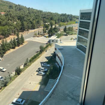 Hastane Personelinin İlgisizliği Ve Fiziksel Koşullardaki Eksiklikler