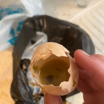 Aldığım Yumurtada Beklenmedik Kötü Koku Sorunu