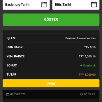 Dinamobet Oyun Sırasında Yaşanan Bağlantı Sorunu Nedeniyle Maddi Kayıp