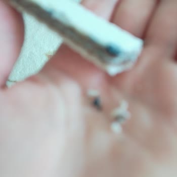 Aldığım Gofrette Anormal Siyahlıklar: Açıklama Ve İnceleme Talebi