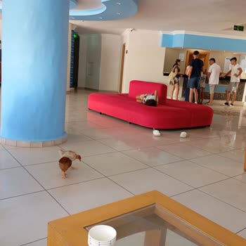 Paradise Club Otelde Hijyen Eksikliği Ve Ücret İadesi Mağduriyeti