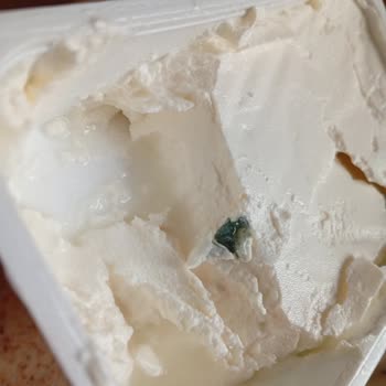 Labne Ürününde Küf ve Tat Sorunu Şikayeti