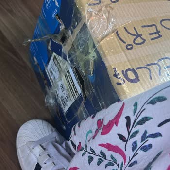 Bagajda Sahipsiz Hayvan Taşınmasına Tepki Ve Güvenlik Endişesi