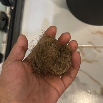 Saç Boyası Sonrası Saçlarım Yıprandı Ve Döküldü Acil Destek Bekliyorum