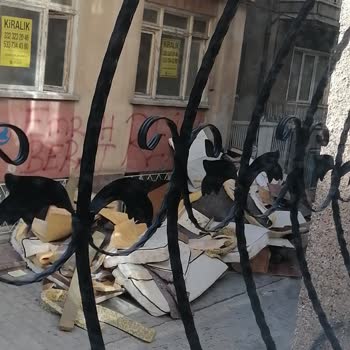 Sokakta Oluşan Çevre Kirliliğine Zabıtanın Duyarsızlığı