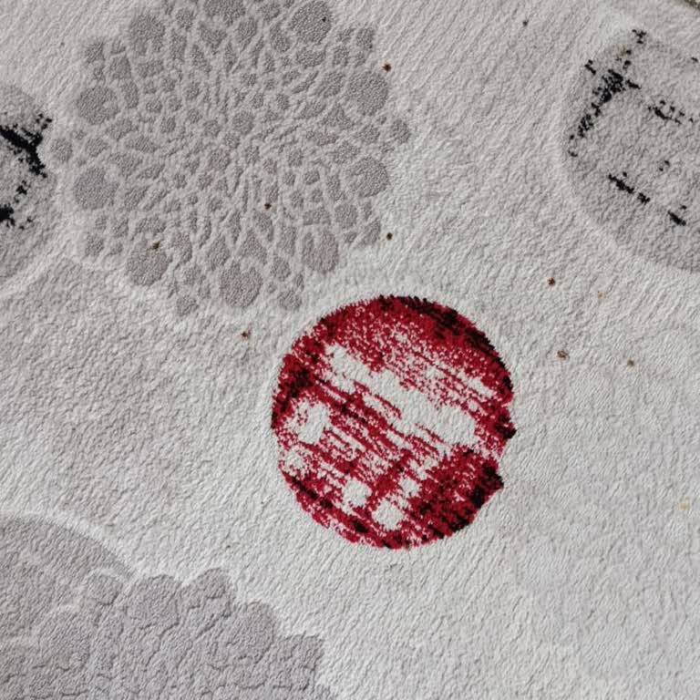 Yıkama Sonrası Halılarım Yanık Ve Temizlenmemiş Şekilde Teslim Edildi, Firma İlgisiz Kaldı