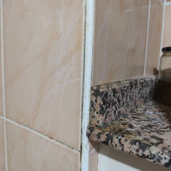 Işıltılı Dünyam Temizlik Gaziantep Sözde Temizlik Yapıyorlar