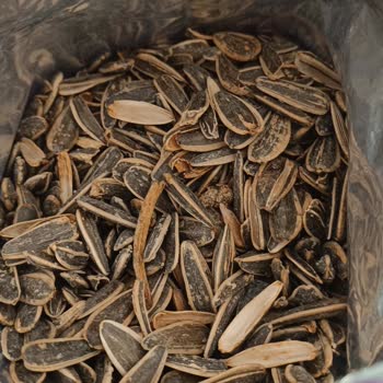 Aldığım Ay Çekirdeği Ürünü Çürük Ve Boş Çıktı