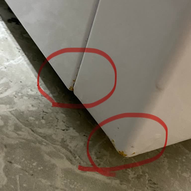 Çamaşır Makinemde Paslanma Ve Yüksek Ses Sorunu Çözülmüyor