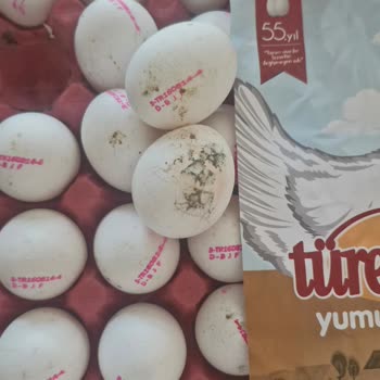 Aldığım Yumurtaların Küflü Çıkması Mağduriyet Yaşattı