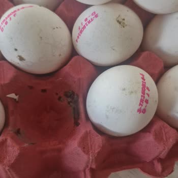 Aldığım Yumurtaların Küflü Çıkması Mağduriyet Yaşattı