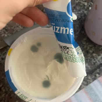 Tarihi Geçmemiş Sek Yoğurtta Küf Şoku!