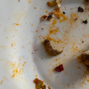 Pek Food Lahmacun Paketinde Yabancı Madde Şoku: Ürün Güvenliği Ve Hijyen Endişesi