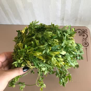 Geç Teslimat Ve Solmuş Ürün Hayal Kırıklığı