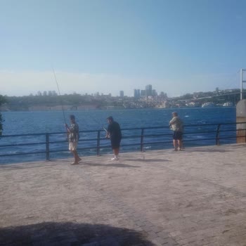 Küçük Parkta Balık Tutanlar Nedeniyle Oturma Alanı Sorunu Ve Çözüm Talebi