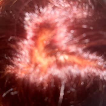 Saç Boyası Kullanımı Sonrası Yanma Ve Tahriş Yaşadım, İade Talep Ediyorum