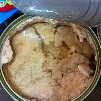 Ton Balığı Kutusunda Eksik Ve Dağılmış Ürün Sorunu Yaşadım