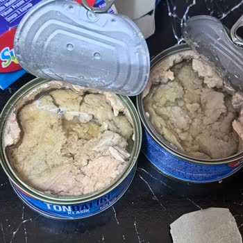 Ton Balığı Kutusunda Eksik Ve Dağılmış Ürün Sorunu Yaşadım