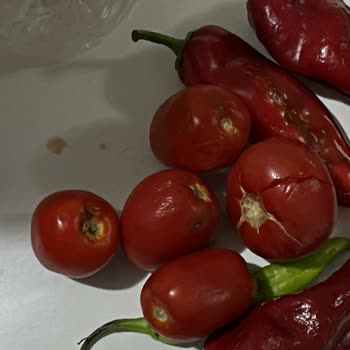 Bozuk Ve Çürük Sebze Teslimatı Sonrası İade Talebime Yanıt Alamıyorum