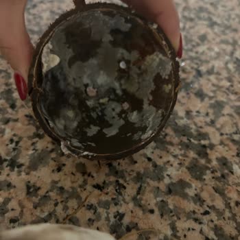 Küflü Hindistan Cevizi Teslimatı Ve Ücret İadesi Talebi