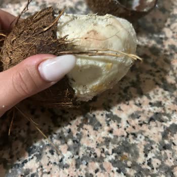 Küflü Hindistan Cevizi Teslimatı Ve Ücret İadesi Talebi