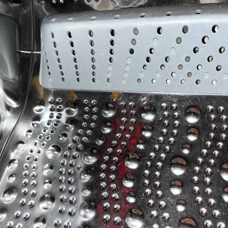 Profilo Çamaşır Makinesi Kazanında Garanti Kapsamında Paslanma Sorunu