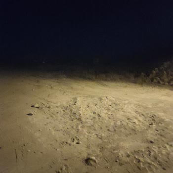 Van Tuşba Kalecik Mahallesi'nde Yıllardır Çözülemeyen Yol Sorunu Ve Ulaşım Mağduriyeti