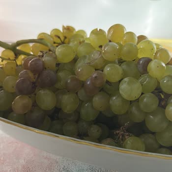 Bozulmuş Ve Kalitesiz Ürünler, İlgisiz Müşteri Hizmeti: Sağlıklı Gıda Arayışım Hüsranla Sonuçlandı