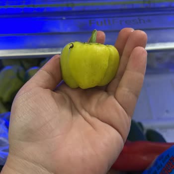 Bozulmuş Ve Kalitesiz Ürünler, İlgisiz Müşteri Hizmeti: Sağlıklı Gıda Arayışım Hüsranla Sonuçlandı