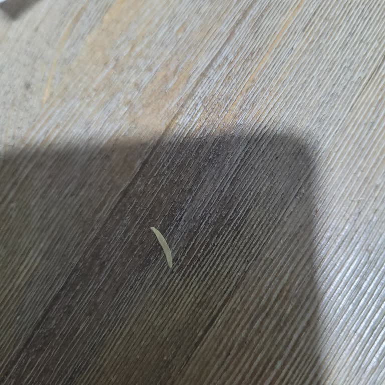 Dondurmanın İçinden Tırnak Çıkmasıyla Yaşanan Şok Ve Rahatsızlık