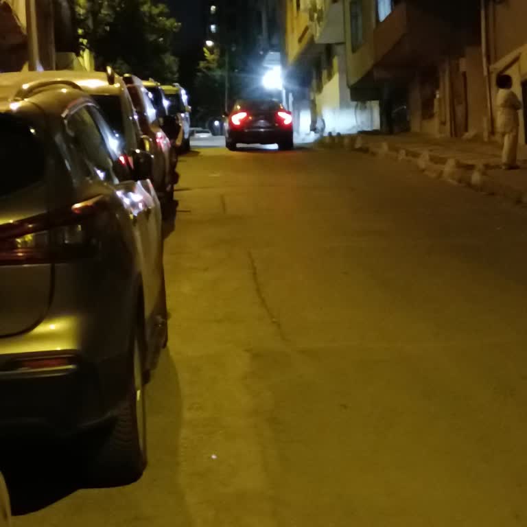 Martı Yolculuğunda Fazla Ücret Talebi ve Güvenlik İhlali