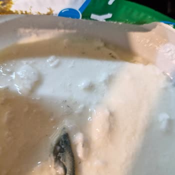 Taze Yoğurtta Küf Şoku: Güvendiğim Marka Hayal Kırıklığı Yarattı