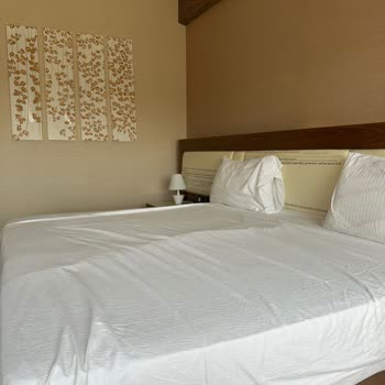 Kıbrıs Nuh’un Gemisi Otelinde Beklentilerin Altında Bir Tatil Deneyimi