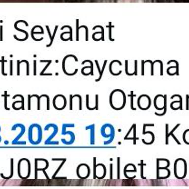 Otobüsün Belirtilen Otogara Uğramaması Ve Ekstra Masraf Nedeniyle Mağduriyet