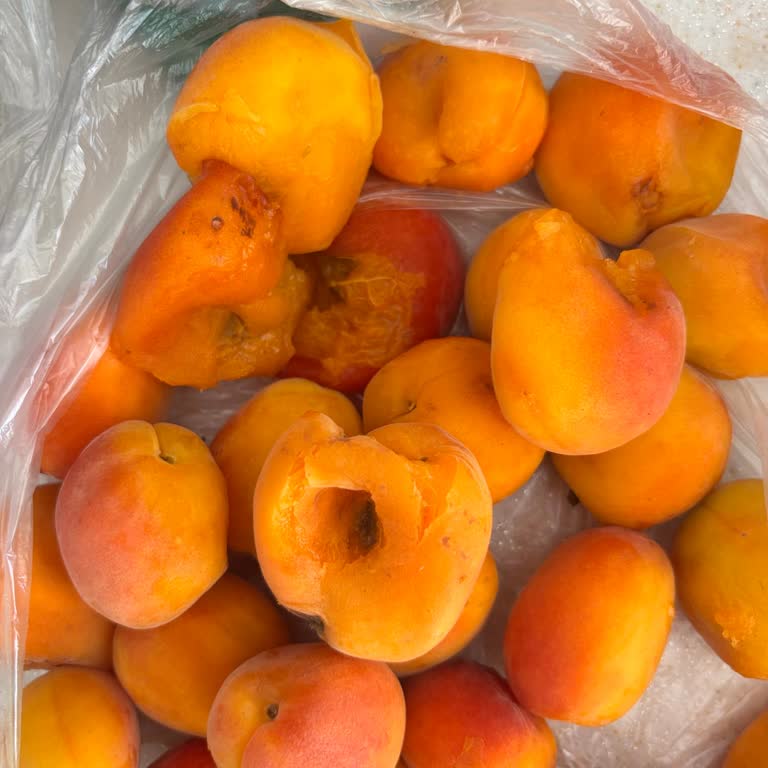 Migros Hemen Siparişimde Bozuk Meyveler Ve İade Sürecinde İletişim Sorunu Yaşadım